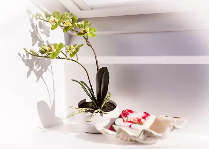 Apartament Drei Kaiser Blick